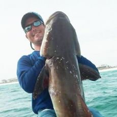 Joseph Dewberry profile photo