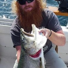 Cameron Lindner profile photo