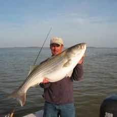 Jeff Popp profile photo