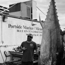 Fin Runner Sportfishing profile photo