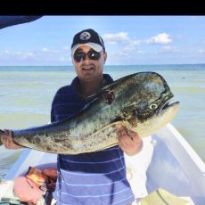 Javier Godinez profile photo