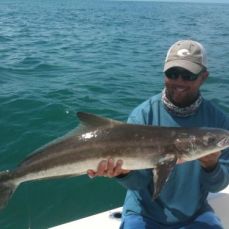 Scott Theis profile photo