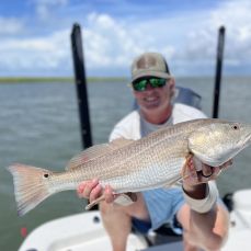 Tony Wielicki profile photo