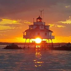 Robert Flynn profile photo