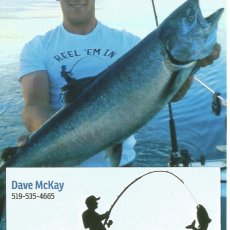 Dave Mckay profile photo