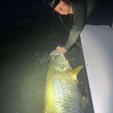 Matthew Newberry profile photo