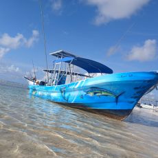 Diosa Del Mar profile photo