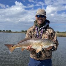 Dominique Duplechin profile photo