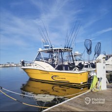 Alan Raasoch profile photo