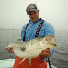 Austin Perilli profile photo