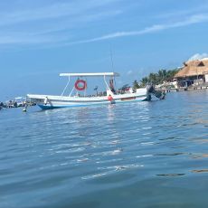 Seven Days profile photo