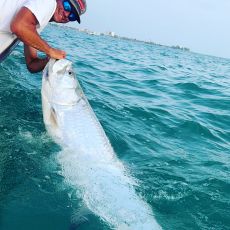 Matt Dandy profile photo