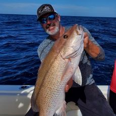 Chad Starling profile photo