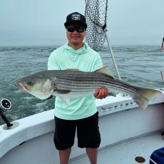 Christopher Rocheleau