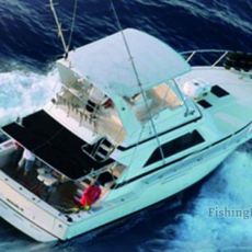 Royal Charters Mallorca