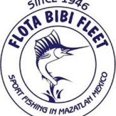 Bibi Fleet Sportfishing profile photo