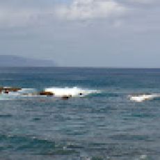 Just The Tip Charters – 34'