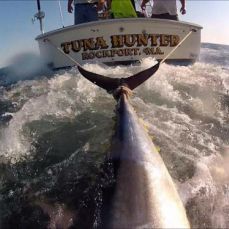 Gary Cannell profile photo