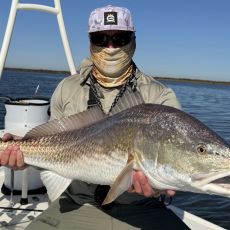 Shane York profile photo