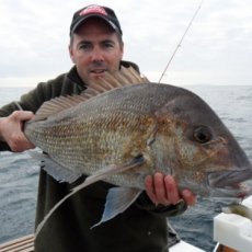 Jason Harris profile photo