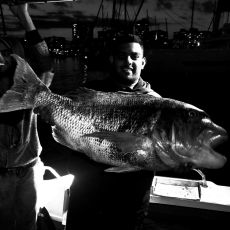 Inkunzi Fishing Charters profile photo