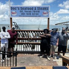 Kevin Navid profile photo