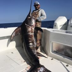 Michael Adkins profile photo