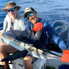 Luis Caceres profile photo