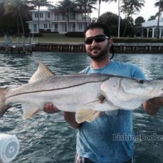 Snook Action charters profile photo