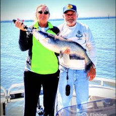 Let's Go Charter Services, LLC profile photo