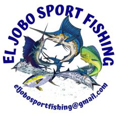 Jose Collado profile photo