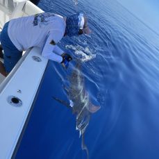 Teddy Pratt profile photo