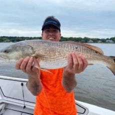 Stephen Storey profile photo