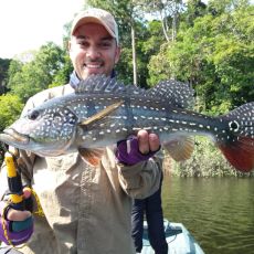 Victor Silveira profile photo