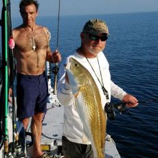 Pat Powell profile photo