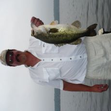 Dennis Ansell profile photo