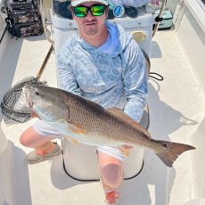 Davison Turner profile photo