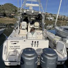 No Patience Sportfishing profile photo