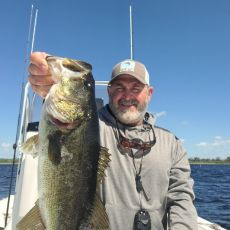 David Nelson profile photo