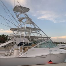 Martin Olascoaga profile photo