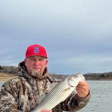 Steve Ford profile photo